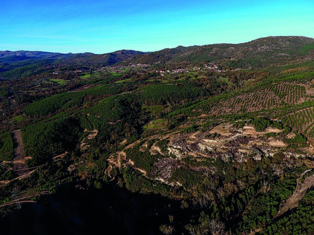 Antigos ministros integram comité consultivo da Savannah