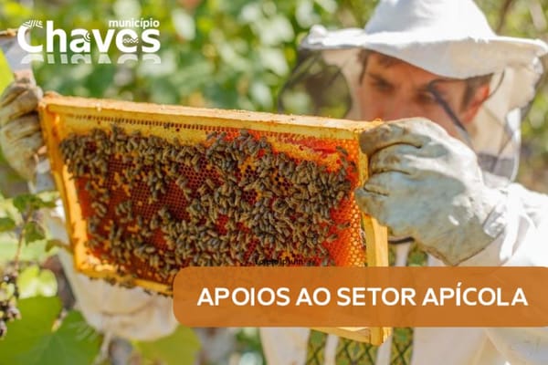 Autarquia de Chaves abre candidaturas para apoiar apicultores