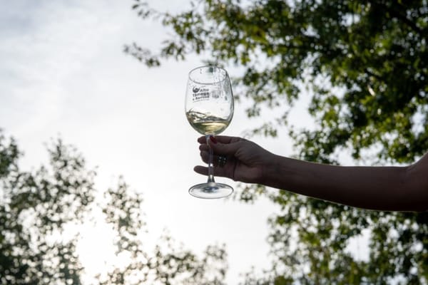 Valpaços acolhe 3ª edição do Aqua Wine Fest nos dias 27 e 28 de junho