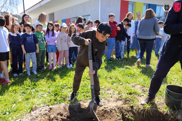 Valpaços celebrou o Dia da Árvore com plantação e caminhada pela floresta