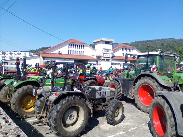 Passeio de tratores voltou a reunir várias pessoas na procura pela valorização da agricultura